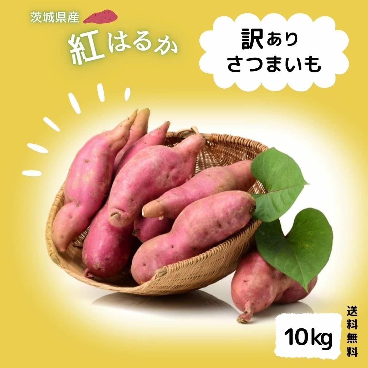 さつまいも苗【紅はるか２００本】【ウイルスフリー切り苗】 令和7年度 切り苗 登録品種（PVP）ウィルスフリー苗 べにはるか
